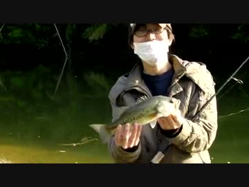 【ニコニコバス釣りダービー】 藻煮た＆アスカ やっとブラックバス釣る