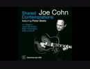 Joe Cohn - Something for Lisa