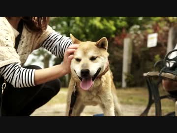 犬を飼ってみたいという夢をかなえてくれる場所があった
