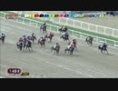 【世界の競馬場から】2013年韓国ダービー　スピーディファースト