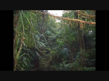 【ニコラップ】ジャングル【アロエ・peach・壊死】