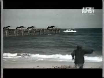 ルードの昆虫記　映画と昆虫編 1