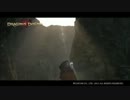 【実況】共闘を愉しむDragon's Dogma【022】―謁見からの密書奪還②