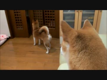 「もうすぐパパが帰ってくる！」