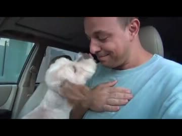 (∪´・ω・)→（∪＾ω＾）捨て犬保護シリーズ　9