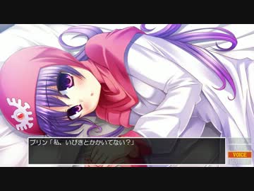 【ゆっくり実況】ドラクエ歴代ヒロインを性的な意味で攻略する part4