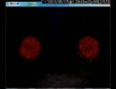 友人に誘われて【魔女の家】をやってみた【初見プレイ】　part16