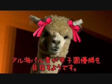 アル海パル香が甲子園優勝を目指すようです。Part1