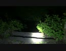 【心霊スポット】人穴
