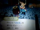 おいでよどうぶつの森　グレース訪問