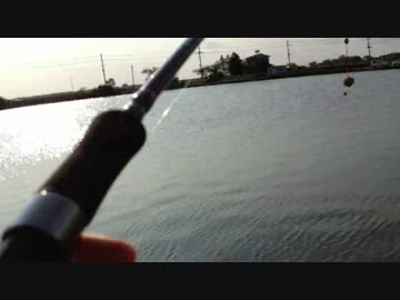 成長しない釣行記14 まだまだ挑戦【ニコニコ巨大魚釣りダービー】