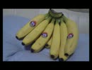 「歌ってみた」　千本桜　～YasuiBanana～
