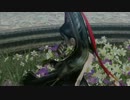 【高画質?】ドS眼鏡魔女姐さんと無個性コミュ症の悲痛な実況　Part05