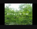 新戸キャンプ場に行ってきたよ！（中篇）