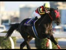 地方競馬ファンファーレ集・改