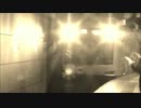 東の横を走る線【花の映る塚PV】
