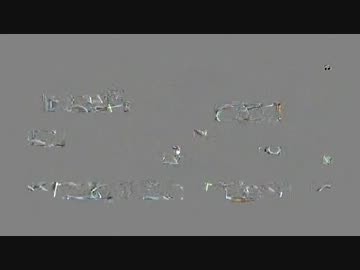 【2人】New スーパーマリオブラザーズWii【実況】Part19