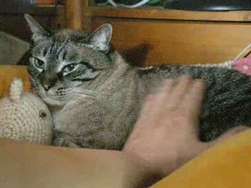 ジャンくんとパパの関係は進展した？　あの微かなまばたきはご挨拶？