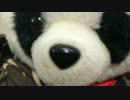 【ぱんだちゃん】はあ〜うは〜う