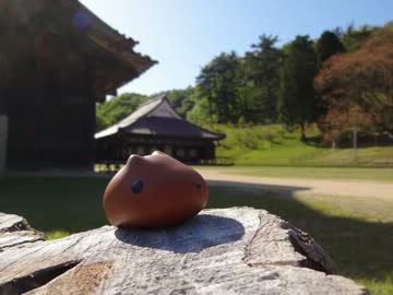 【CBR250R】カピバラさんとツーリング【閑谷学校】