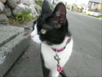 【聖子ちゃん】sweet memories 【フル】