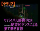 【テラリア】 絶望的センスによる果て無き冒険 １日目