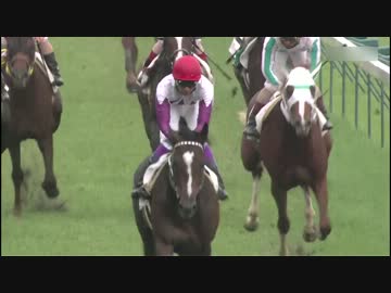 的中馬券【ウマ娘】【平成ベストレース】第65回 日本ダービー
