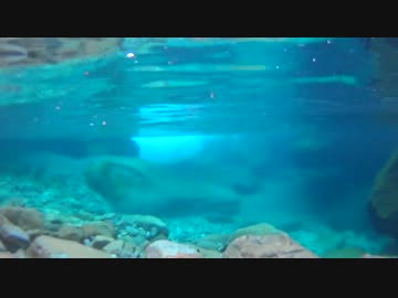 週末は渓に行こう　2013 5 5  木曽 阿寺川釣行