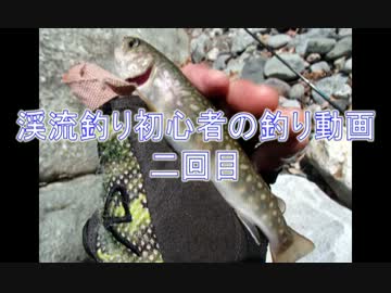 渓流釣り初心者の釣り動画　二回目