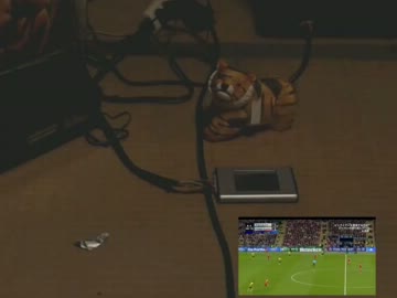 【永井先生】サッカーCL決勝鑑賞