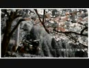 バイクでさんぽ～琵琶湖2泊３日編～2013.5