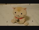 ＥｌｓＡｓＳバイク動画テスト