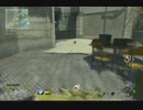 [COD;MW3] サバイバルソロで逝く part11