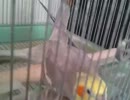 130521_170646.3gp