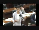 05.29 衆議院法務委員会　辻元清美