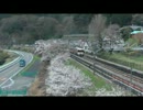 首都圏でこんなに電車が走ってるわけがない。