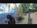 動けるデブを目指す。モッピーのサバゲ記録20-5