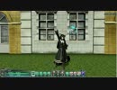 【PSO2】追加ロビーアクション35【掲げる】