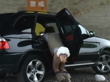 【愛撫してみた】ドグゴロウの動物王国その2