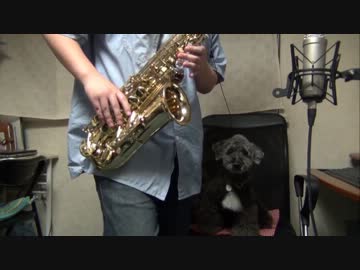 アルトサックスで「セツナトリップ」(GUMI)を吹いてみた
