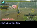 【見た目は大人女子】MHP3rd ～4狩目～【中身はこじらせ】
