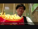 【メガポテト】並べて数えてみた【McDonalds】