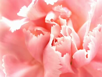 コメント練習用 【無音】