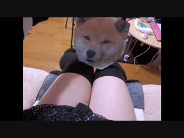 【柴 犬恵ダンサーズ】 Girls　踊ってみた 【猫背兄弟】