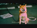 【OWL】3rdアルバム「ONTHE LIFE」より【帰ろう】