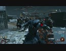 【CoD:BO2】ひどいお…