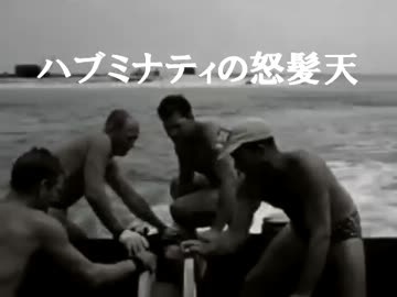 【ニコラップ】ハブミナティの怒髪天【Hubminati】