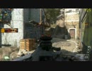 BO2 DOM 初めてのセレリウムキラー