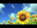 【オリジナル曲】そよ風が集う丘〔インスト〕