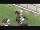 3歳未勝利_ヤマニンシェリル